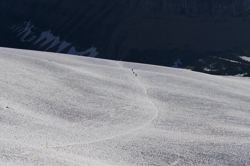 Looking back toward Logan Pass, you can see the trail snake its way through the snow in late June 2018.