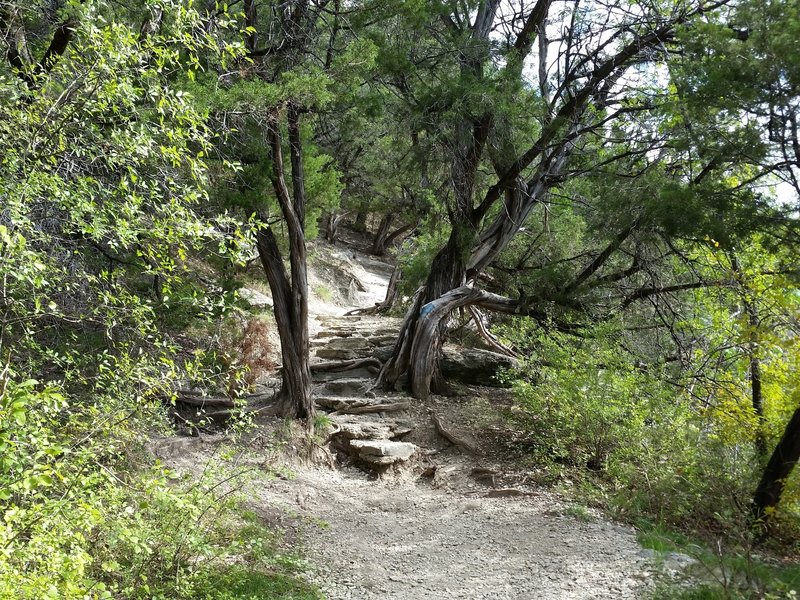 Welcome to the Limestone Ledge, hope you brought your climbing shoes!