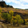 Half way up the south side of the Dam Trail.