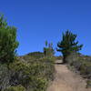 The trail climbs steeply up the hill. Take a minute to enjoy whatever shade you find along the way.