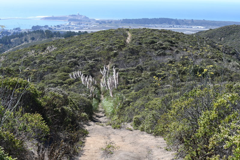 The trail descends steeply along the ridgeline.