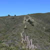 You can see the trail as it climbs the ridge line. You can see the pampas grass corridor on the hillside that you just descended.