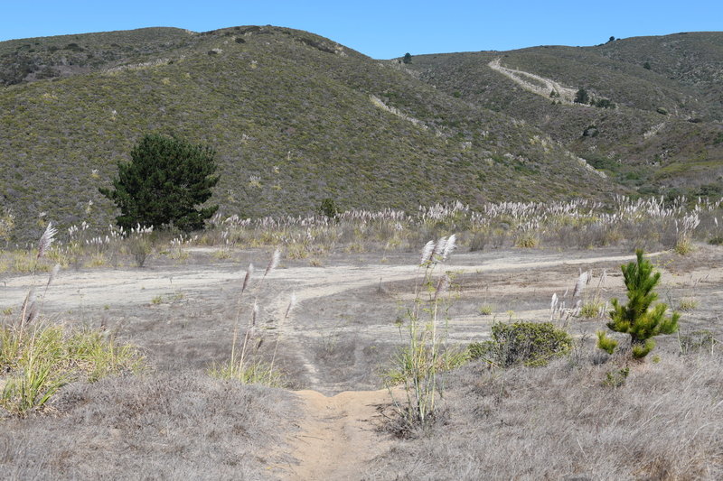 The top of the trail flattens out and several side trails for mountain bikers connect with the Clipper Ridge Trail. The Flat Top Trail circles to the right and then descends back toward the parking lot.