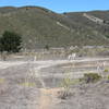 The top of the trail flattens out and several side trails for mountain bikers connect with the Clipper Ridge Trail. The Flat Top Trail circles to the right and then descends back toward the parking lot.