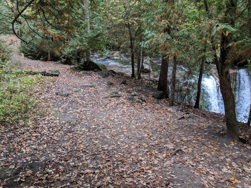 Trail beside Hogg's Falls