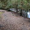Trail beside Hogg's Falls