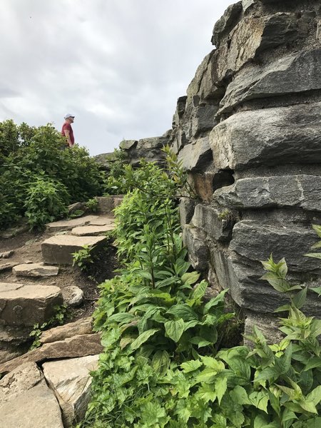 Almost at the top of Craggy Pinnacle.