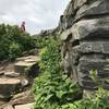 Almost at the top of Craggy Pinnacle.