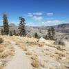 Up on moraine ridge, straight north of Lake Vernon