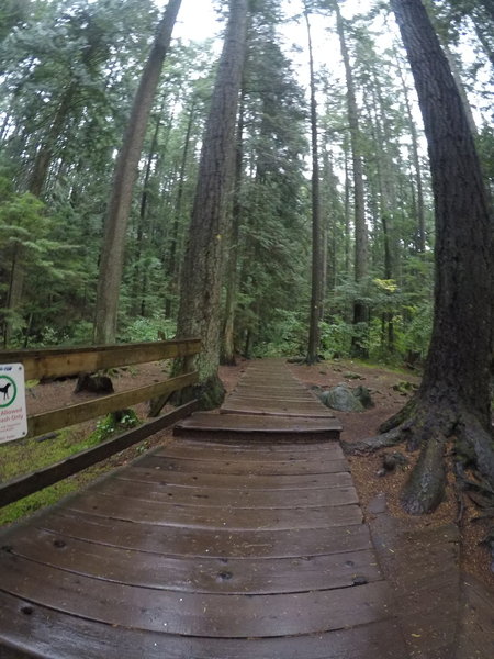 The boardwalk after the bridge.