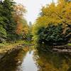 Fish Creek from Bridge