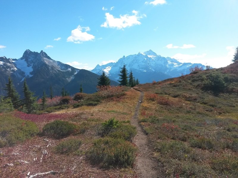 Open benches at around 3 miles or so. Mt Shuksan on right, Mt. Sefrit on left.