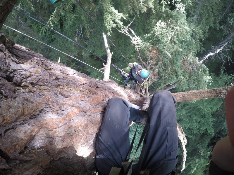 Looking down, at about 45 feet.