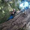 One of the climbing party, Joe, having a great time.