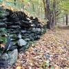 Remnants of a rock wall along the Arrow Island Trail.