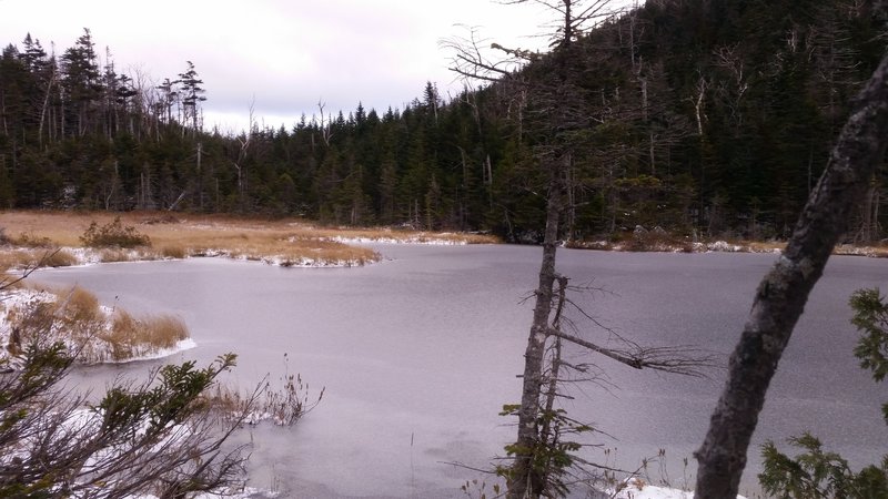 Elk Pass Pond