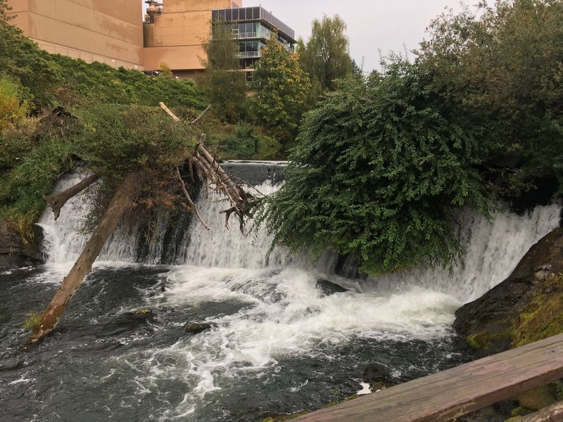 Upper Tumwater Falls.