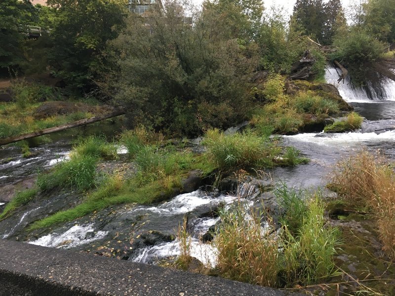 The Deshutes River.