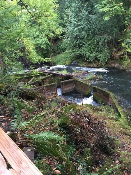 Salmon ladder on the river.