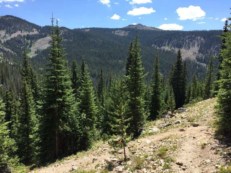 Views south toward Mt. Irving Hale