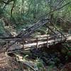 The classic bridge across Morris Rodgers Creek