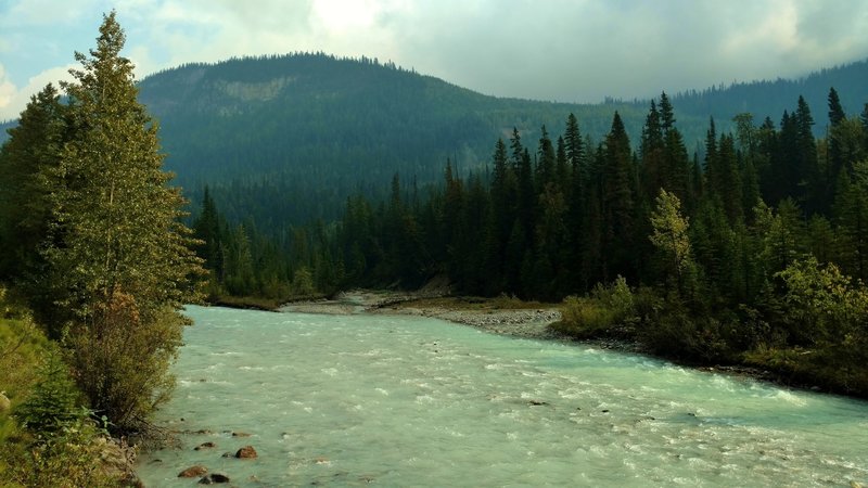 The Blaeberry River flows through the fir and spruce forests along Blaeberry Forest Service Road.