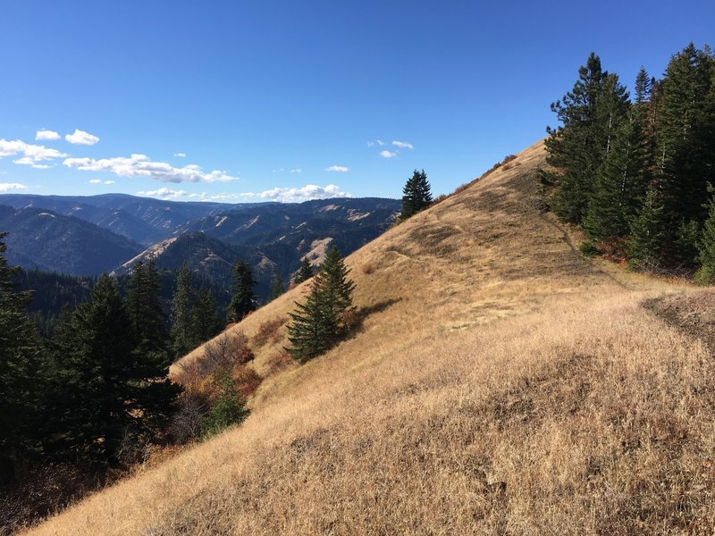 Fall on the trail