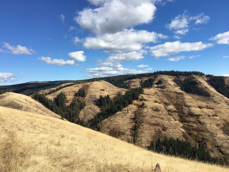 Looking east from near the end of the trail and into Lick Creek canyon.