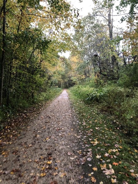 Rockingham Recreational Trail; Newfields section