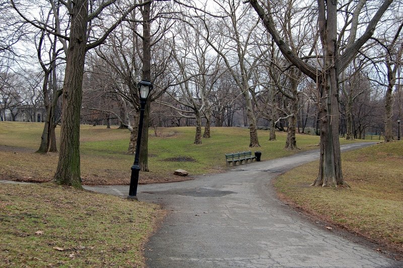 Central Park