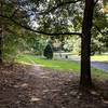 Prospect Park SW trail, looking North