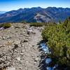 Looking down the Dragon's Back Trail from the ridge below the summit of Mammoth Mountain.