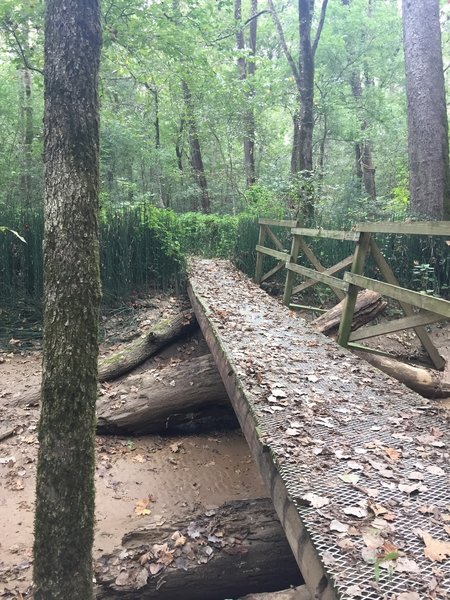 Bridge on Pioneer Springs Trail