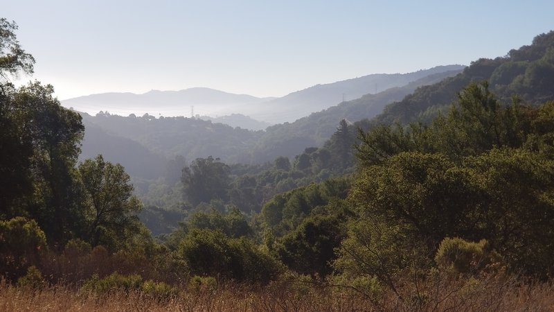 Vista from Zinfandel Trail