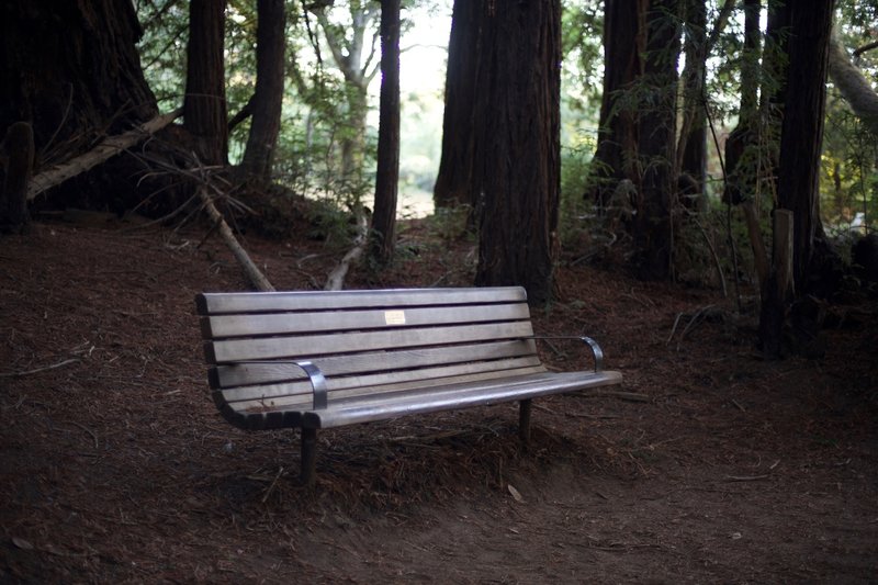 Benches like this one on the Redwood Trail, can be found sprinkled throughout Wunderlich Park. They are a good place to take a break as many trails climb up into the park.