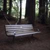 Benches like this one on the Redwood Trail, can be found sprinkled throughout Wunderlich Park. They are a good place to take a break as many trails climb up into the park.