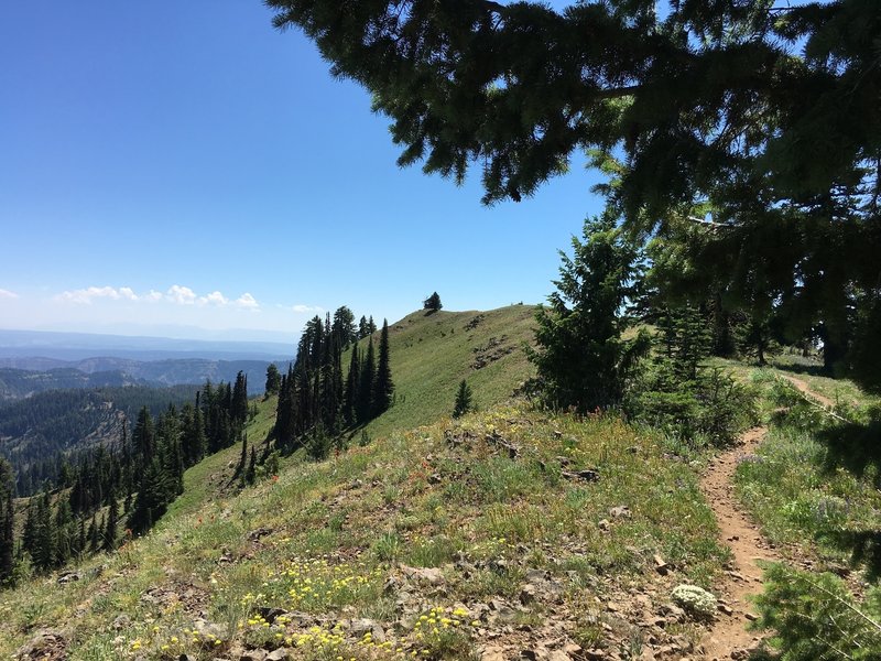 Trail on the approach to the Oregon Butte Lookout