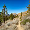 Mammoth Mountain viewed from the Heart Lake Trail.