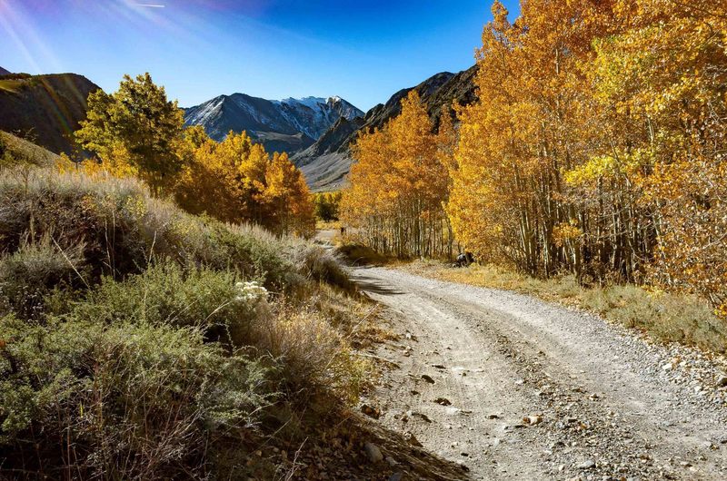 A flatter section of Laurel Lakes Road as it passes by an aspen grove with Bloody Mountain up ahead.