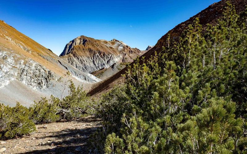 The west side of Mount Morrison viewed from below the saddle between Laurel Mountain (left) and Bloody Mountain (right).