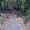 The trail as it departs from the intersection with the Meadow Trail.