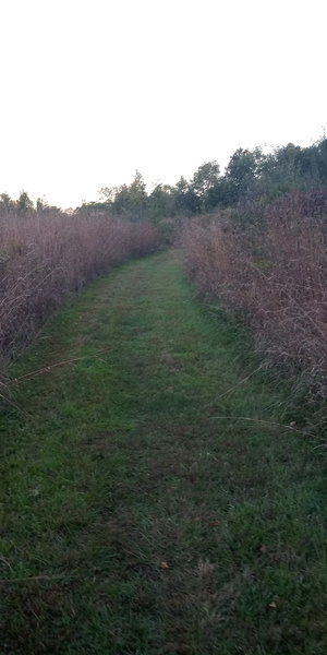 Blue Stem Trail