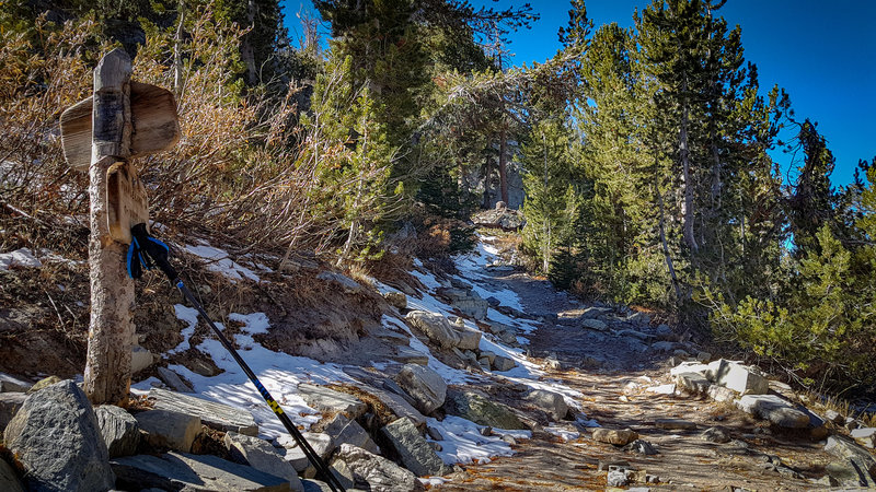 The Duck Lake Trail joins the John Muir Trail.