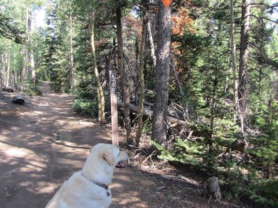 In FairPlay and Florissant