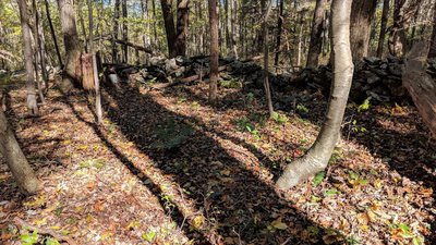 Traverse through the Lichfield Hills on the way up to Rands View.