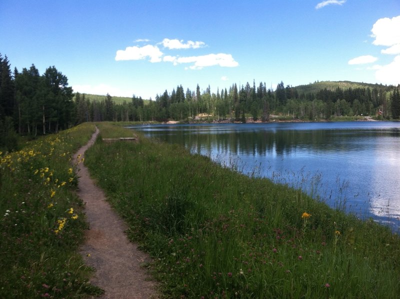 Always something to look at on this trail