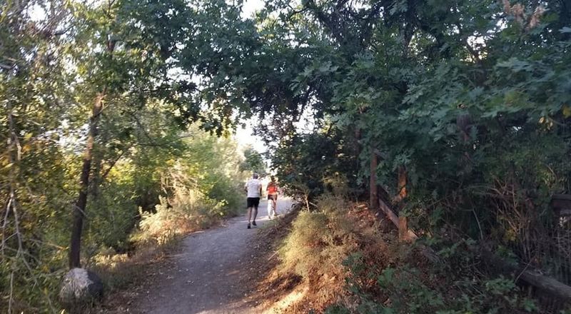 Local running group running the Surface Creek Trail.