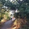 Local running group running the Surface Creek Trail.