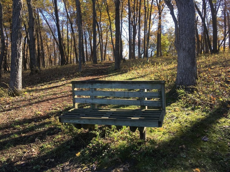 Bench overlooking Founders Pond