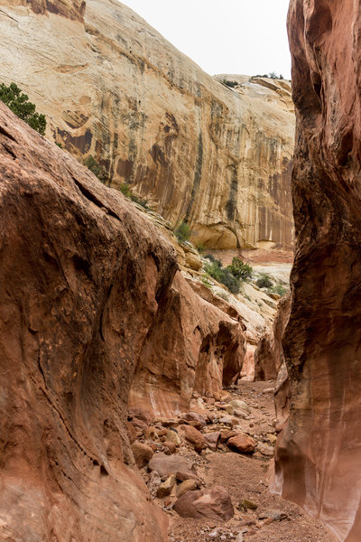 Intimidating slick rock walls on either side as you get deeper into Sheets Gulch